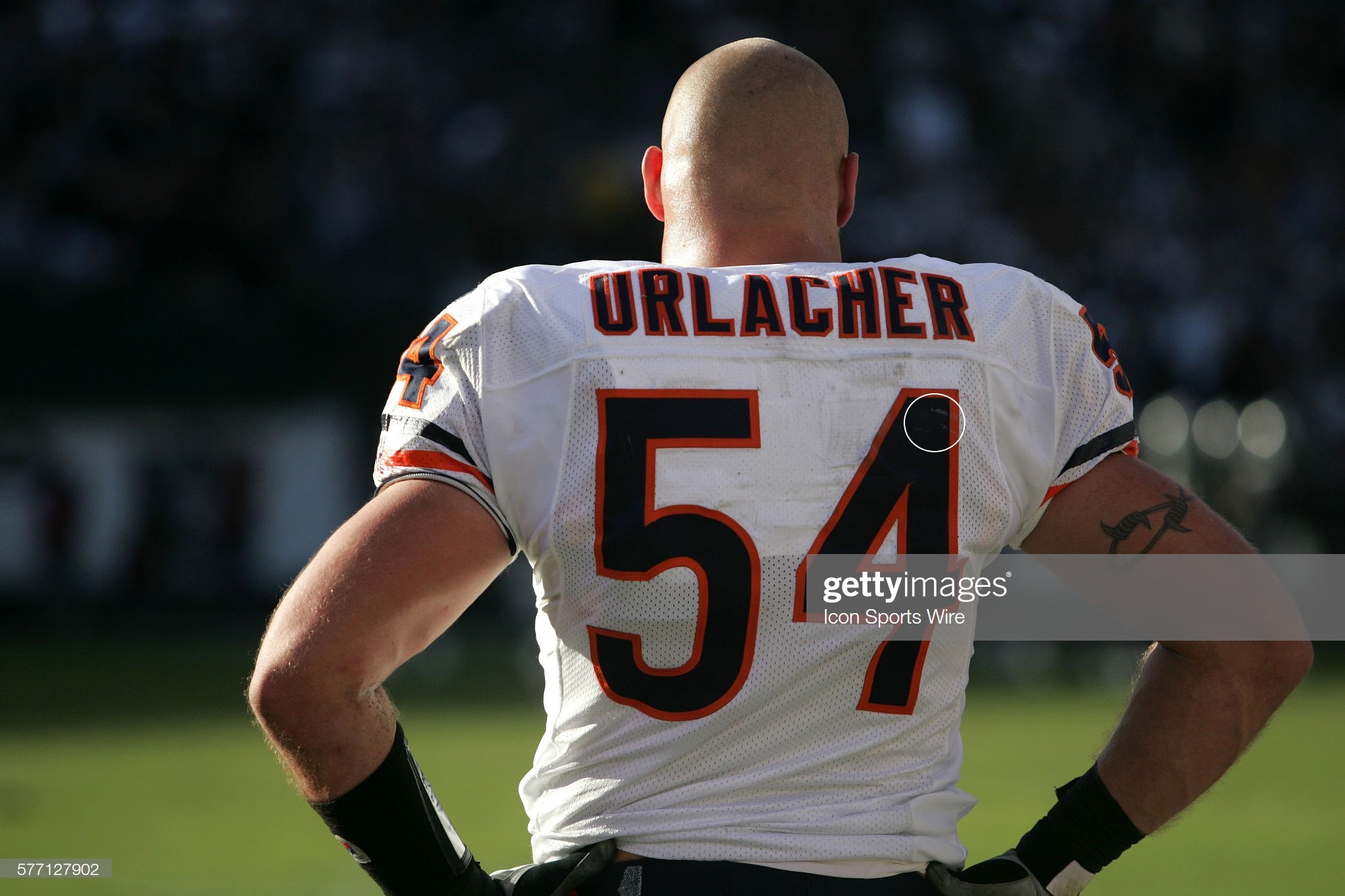 Urlacher 3 vs Raiders 11.11.2007